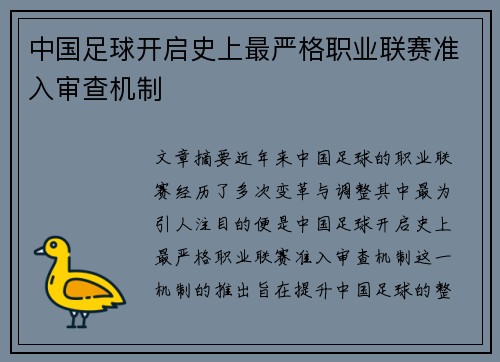 中国足球开启史上最严格职业联赛准入审查机制 中国足球开启史上最严格职业联赛准入审查机制